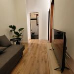 Rent 3 bedroom house in Florence