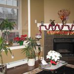 Rent 2 bedroom house in Abbotsford