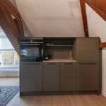 Rent 2 bedroom apartment of 200 m² in 's-Gravenhage
