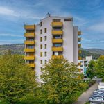 Rent 4 bedroom apartment of 75 m² in Liestal