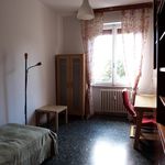 Rent 5 bedroom apartment of 110 m² in Firenze