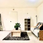 Rent 1 bedroom apartment in Tauranga