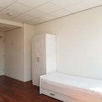 Rent a room of 34 m² in 's-Gravenhage