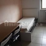 Rent 3 bedroom apartment of 110 m² in Matera