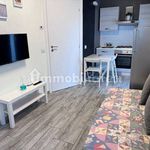Rent 2 bedroom apartment of 40 m² in Rimini