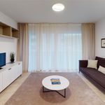 Rent 2 bedroom apartment in Chiasso
