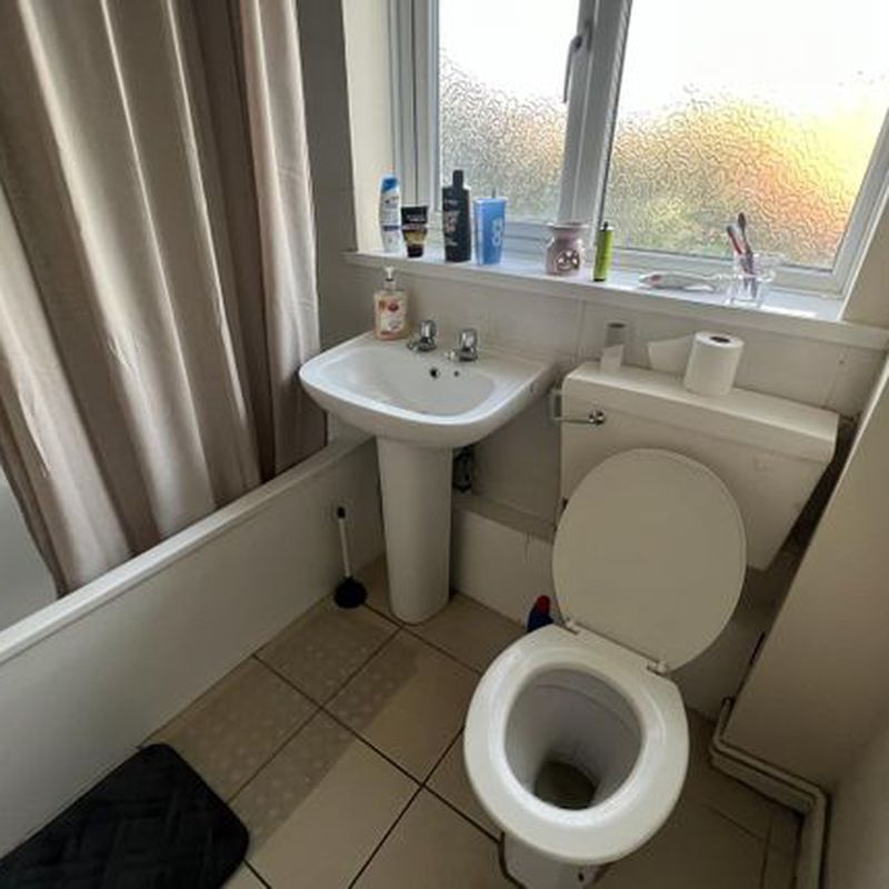 Room to rent in Lilburne Avenue, Norwich NR3