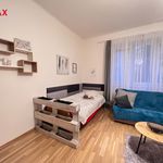 Rent 1 bedroom apartment of 33 m² in Brno