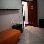 Rent 3 bedroom apartment of 80 m² in Riccia