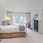 Rent 5 bedroom house in Twickenham
