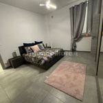 Affitto 3 camera appartamento di 85 m² in Carmagnola