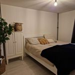 Rent 4 bedroom house of 127 m² in Mijnsheerenland