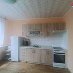 Rent 1 bedroom apartment of 41 m² in Ústí nad Labem