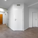 Rent 6 bedroom apartment of 289 m² in Praha