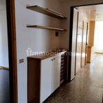 Rent 4 bedroom apartment of 100 m² in Treviso