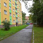 Rent 1 bedroom apartment of 40 m² in Plzeň