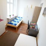 Rent 5 bedroom apartment in Łódź