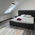 Rent 6 bedroom apartment of 155 m² in Frechen