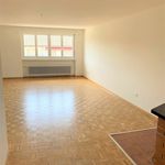 Rent 2 bedroom apartment in Rorschach