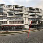  appartement avec 1 chambre(s) en location à Denderleeuw