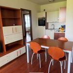 Affitto 3 camera appartamento di 86 m² in Solbiate Olona
