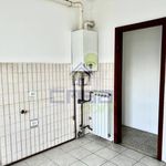 Rent 4 bedroom apartment of 113 m² in Cremona