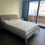 Miete 1 Schlafzimmer wohnung in Lugano