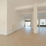 Affitto 1 camera appartamento di 241 m² in Pineto