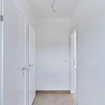 Rent 3 bedroom apartment of 59 m² in Hausbrunn