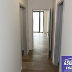 Rent 1 bedroom apartment of 60 m² in Prostějov