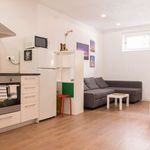 Rent 1 bedroom apartment of 55 m² in Barcelona