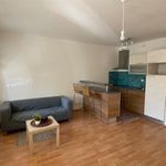 Rent 1 bedroom apartment of 36 m² in Praha