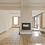 Rent 5 bedroom house of 293 m² in Bilzen