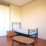 Rent a room of 50 m² in Roma