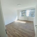Rent 1 bedroom apartment of 55 m² in Plzeň