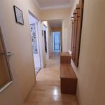 Rent 3 bedroom apartment of 64 m² in Kielce