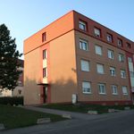 Rent 1 bedroom apartment of 29 m² in Stiring-Wendel