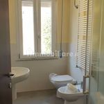 Rent 4 bedroom house of 100 m² in Lucca