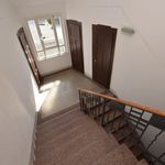 Rent 3 bedroom apartment of 60 m² in Chemnitz