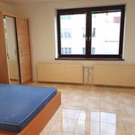 Rent 2 bedroom apartment of 50 m² in Stříbro