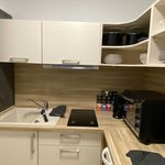 Rent 1 bedroom apartment of 38 m² in Leipzig