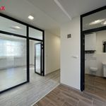 Rent 4 bedroom apartment of 110 m² in Ostrava