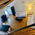 Affitto 2 camera appartamento di 57 m² in Mirano
