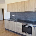 Rent 2 bedroom apartment of 63 m² in Hořice