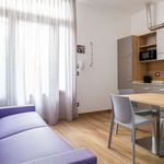 Rent 1 bedroom apartment of 37 m² in Bologna