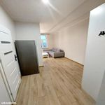 Rent 1 bedroom house of 27 m² in Poznan