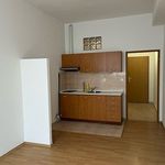 Rent 1 bedroom apartment of 23 m² in Svitavy
