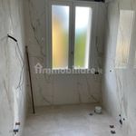 Rent 5 bedroom apartment of 160 m² in Modena