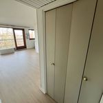 Rent 1 bedroom apartment of 28 m² in Lille