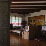 Rent 8 bedroom house of 250 m² in San Teodoro